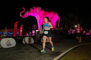 BIB: 
                            <button type="button" onclick="openModal(26534748)" class="btn btn-primary btn-sm float-right btn-popup" data-toggle="modal" data-target=".modal-high-quality">
                        <i class="fas fa-shopping-cart"></i> Add to Cart
                    </button>
                                            <button type="button" onclick="isThisMe(26534748, true)" class="btn btn-success btn-sm float-right btn-popup btn-isme hidden" data-toggle="tooltip" data-placement="bottom" title="นี่คือรูปของคุณใช่ไหม คลิกที่นี่เพื่อเอาเข้าอัลบั้ม">
                        <i class="fas fa-plus"></i> Add to album
                    </button>
                    <button type="button" onclick="isThisMe(26534748, false)" class="btn btn-warning btn-sm float-right btn-popup btn-isnotme hidden">
                        <i class="fas fa-ban"></i> Remove from album
                    </button>